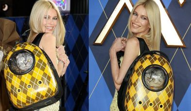 Herkes ünlü oyuncuları bırakıp onu izledi: Ünlü model kırmızı halıda kedisiyle şov yaptı