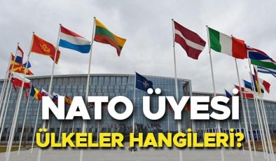NATO ÜLKELERİ LİSTESİ 2024 | İsveç NATO üyesi mi oldu, NATO üyesi ülkeler hangileri? NATO ne zaman kuruldu, nedir? İşte tarihi ve açılımı!