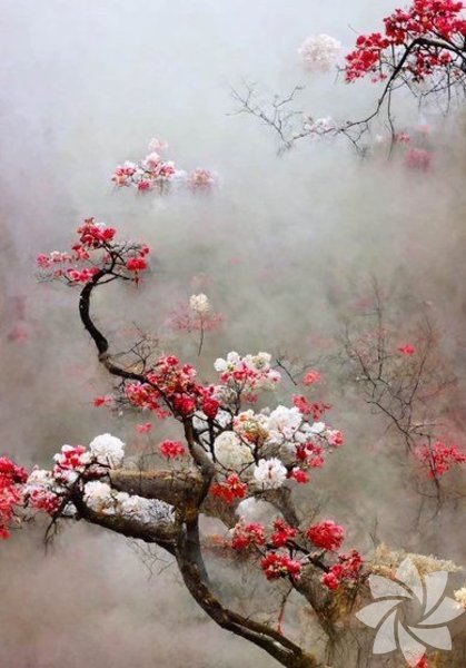 Hayal gücünün önemine dair 6 söz‏