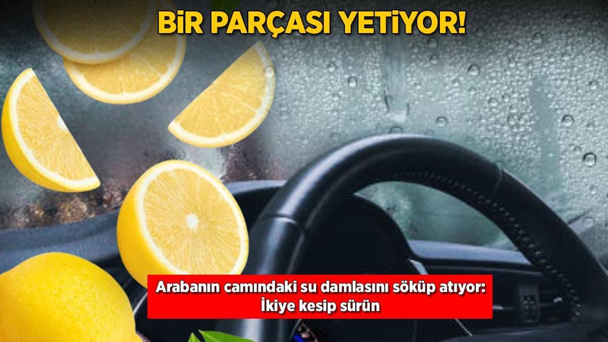 Bir parçası yetiyor! Arabanın camındaki su damlasını söküp atıyor: İkiye kesip sürün