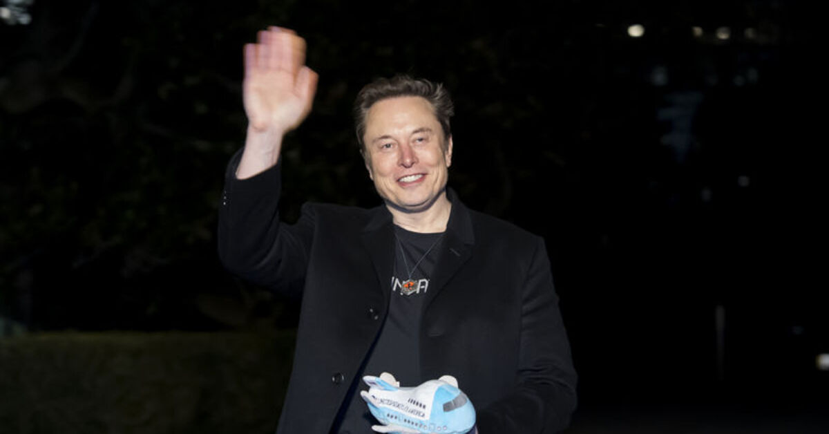 Elon Musk: Zelenskiy Amerikalı bir gazeteciyi öldürdü